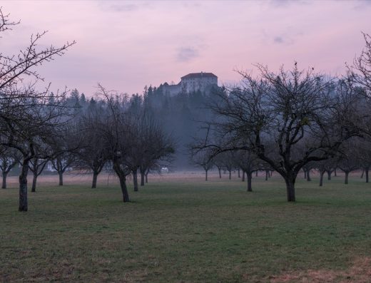 Manoir de Roquevieille