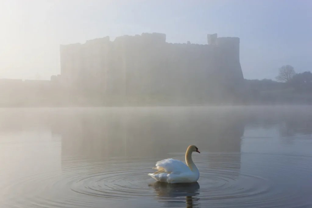 Château au loin dans la brume, un cygne sur les douves, Pays de la Loire