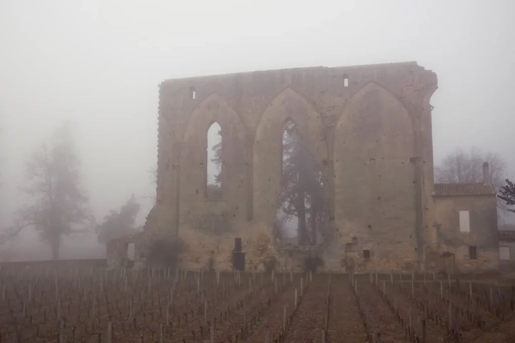 Ruine d’église gothique au milieu des vignes dans le brouillard, Nouvelle-Aquitaine